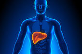 Como &eacute; o carcinoma hepatocelular?