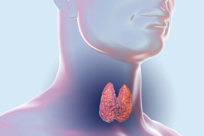 Avalia&ccedil;&atilde;o da tireoide
