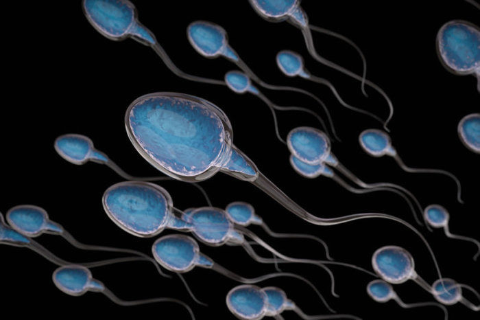 Oligospermia: causas, diagn&oacute;stico e tratamento da baixa contagem de espermatozoides