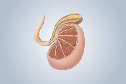 Principais dist&uacute;rbios testiculares