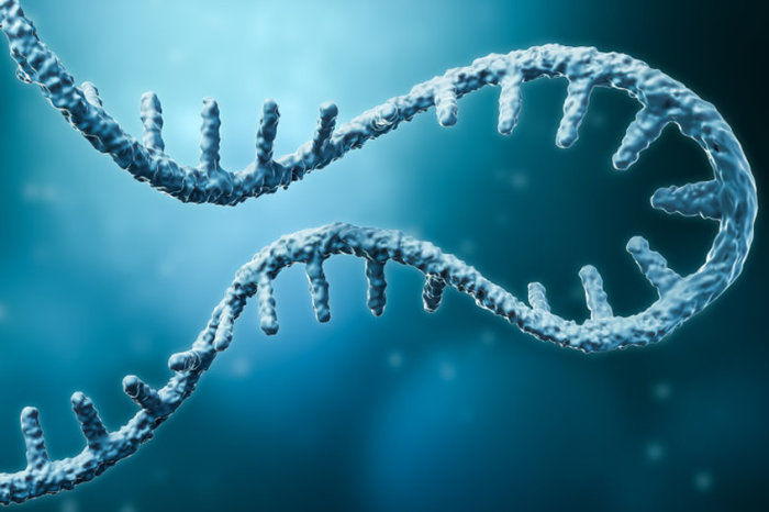 RNA mensageiro: como funciona, para que serve e por que revolucionou a medicina moderna