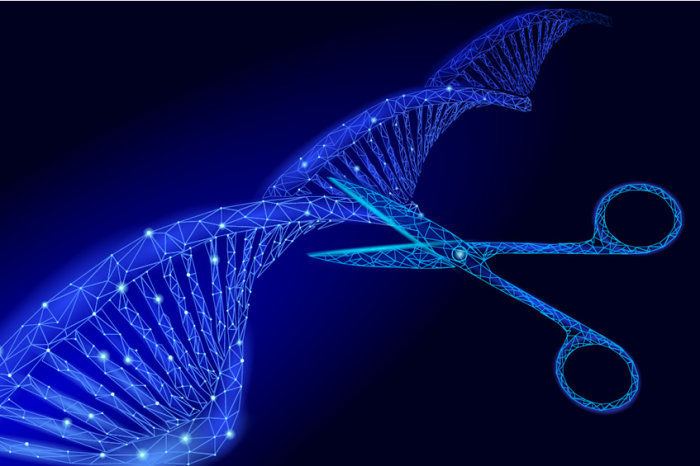 T&eacute;cnica CRISPR: como funciona a ferramenta capaz de editar o DNA
