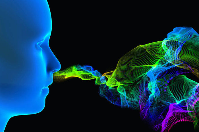 Aromaterapia: entenda o que &eacute; a terapia com &oacute;leos essenciais