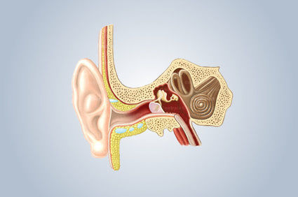 Audiometria: o que é? Quais os tipos? Como é feito e para que serve o exame?