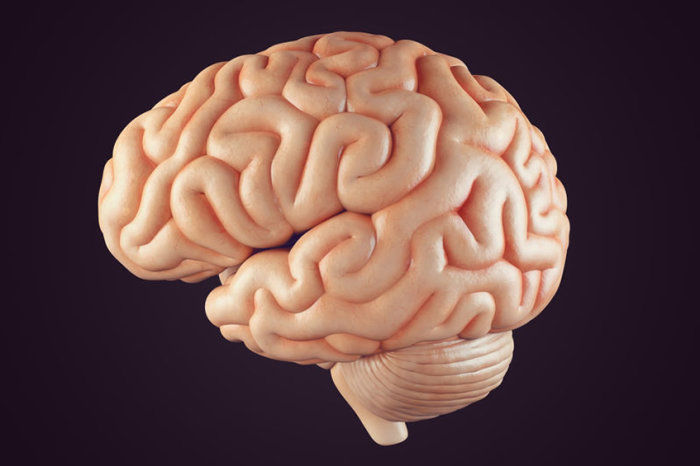 Craniofaringioma - conceito, causas, cl&iacute;nica, diagn&oacute;stico, tratamento e poss&iacute;veis complica&ccedil;&otilde;es