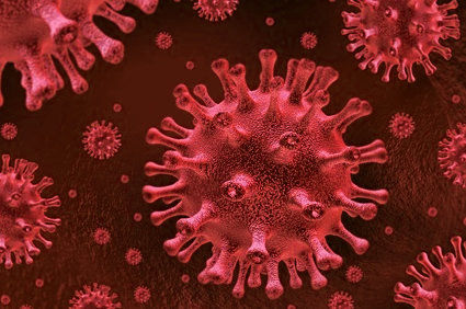 Encefalite, alta mortalidade e risco de surtos: conhe&ccedil;a o v&iacute;rus Nipah