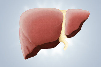 Esteatose hep&aacute;tica na inf&acirc;ncia