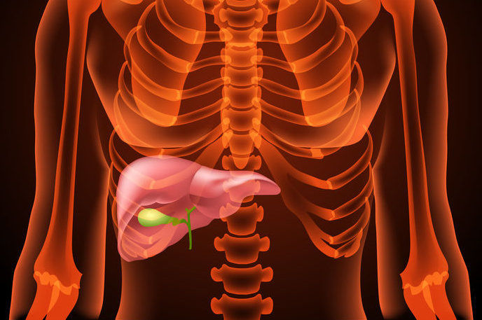Esteatose metabólica