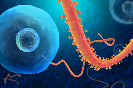 Infec&ccedil;&atilde;o pelo v&iacute;rus Ebola: conceito, infec&ccedil;&atilde;o, sinais e sintomas, diagn&oacute;stico, tratamento, evolu&ccedil;&atilde;o, preven&ccedil;&atilde;o, complica&ccedil;&otilde;es poss&iacute;veis