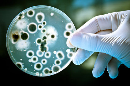 Infec&ccedil;&otilde;es oportunistas
