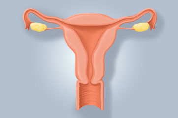 Infertilidade feminina