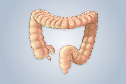 Lavagem intestinal - por que fazer e por que n&atilde;o fazer?