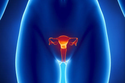 Malforma&ccedil;&otilde;es uterinas - quais s&atilde;o? O que ocorre?