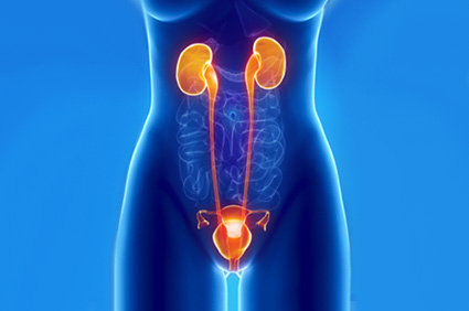 Urodin&acirc;mica: como &eacute; o exame e quem deve fazer?