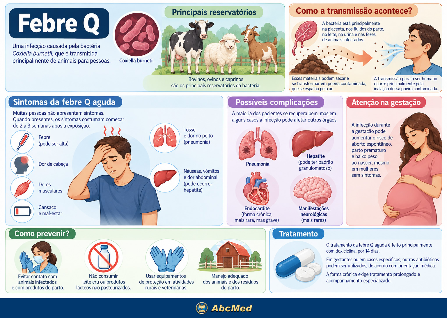 Infográfico - Febre Q