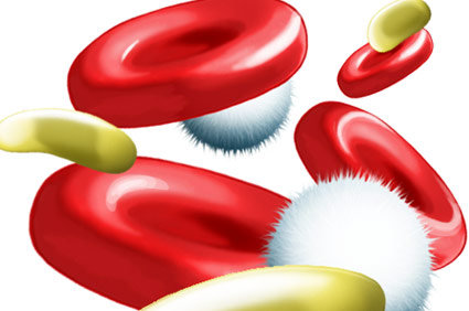 Composição e funções do sangue