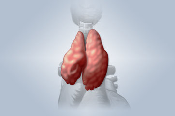 Do diagnóstico à evolução: tudo sobre o raro câncer do timo