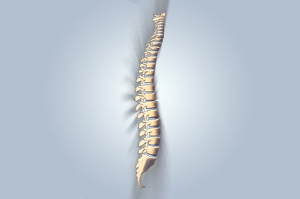 Espondilite anquilosante: como ela é?