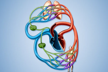 Esvaziamento ganglionar - Quando é feito? Quais são os mais comuns?