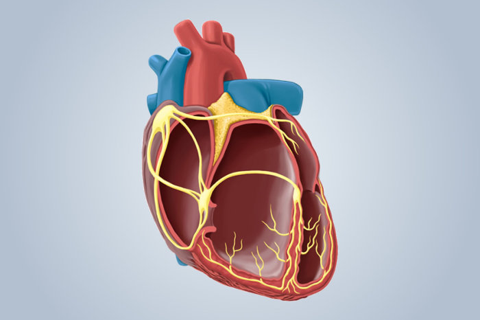 Velocidade da onda de pulso - um indicador de morbimortalidade cardiovascular